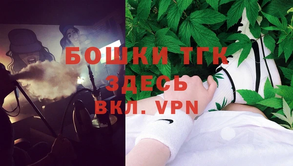 крисы Армянск