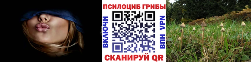 blacksprut tor  продажа наркотиков  Жуковка  Галлюциногенные грибы прущие грибы 